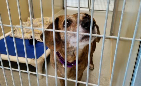 Wisconsin Humane Society Racine Campus