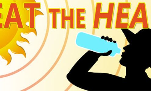 Buttons ‘n Bears Oh My!