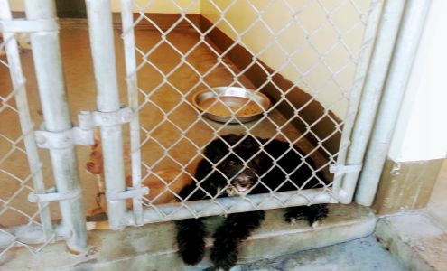 Inland Valley Humane Society and S.P.C.A.