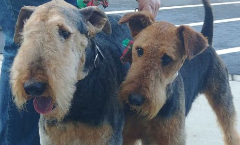 Ye Olde Poodle Parlor