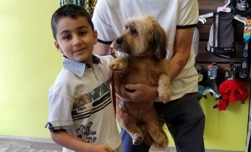 Andy's Pet Grooming Eagle Rock