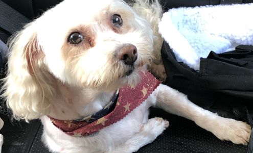 Pets Love Us Grooming