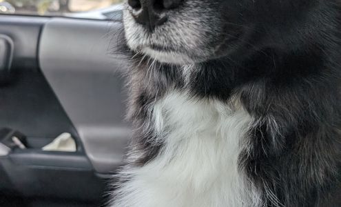 Very Important Pet (VIP) Grooming Salon & Boutique