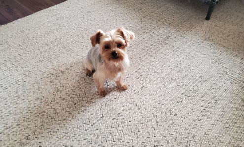 All Animal Grooming & Pet Supply