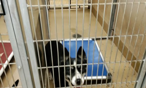 Sacramento County Bradshaw Animal Shelter