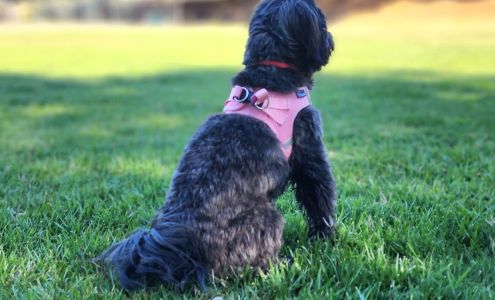 Animal Friends Connection Humane Society