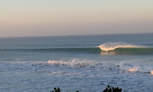Helen Woodward Animal Center Companion Animal Hospital
