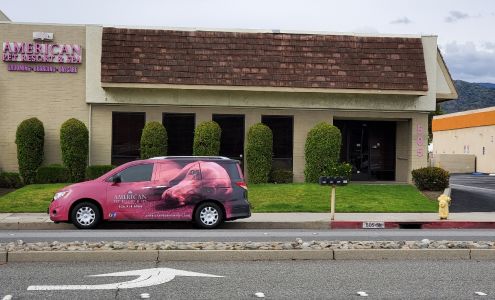 American Pet Resort & Spa