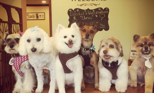 Laguna Pet Spa / Judi's Pet Grooming