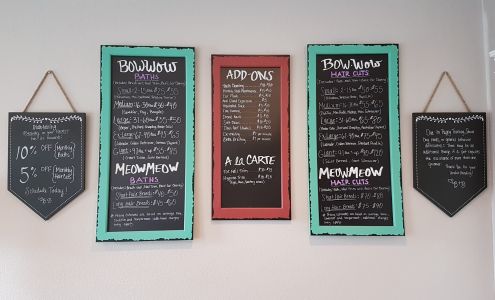 Beauty and the Beast Pet Grooming