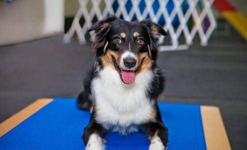 Ruffgers Dog University - Naples Dog Training & Boarding