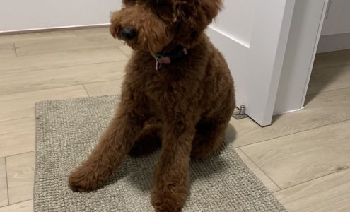 Topcoat 'n Tails Inc