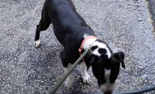 Putnam County Humane Society Hollister