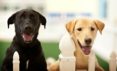 Savy Paws Pet Resort