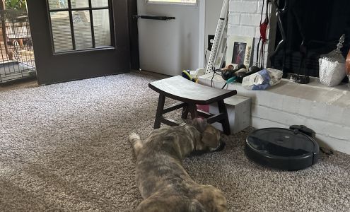 Henry County Humane Society