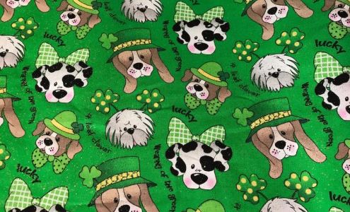 Wynne Animal Shelter