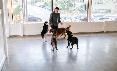 Bone Sweet Bone - Woodland Hills