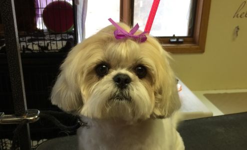 Powder Hounds Grooming Salon