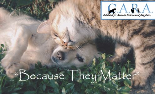 Citizens Animal Rescue and Adoption (C.A.R.A.) Tilton