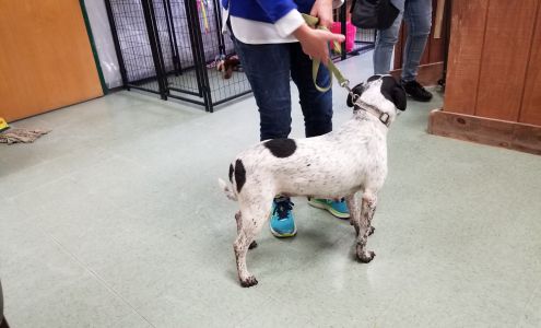 Vermilion County Animal Shelter