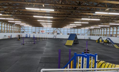 Dog Sports at Kim's Caseyville