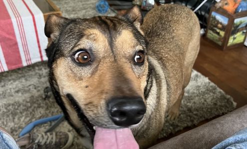 Morgan County Humane Society