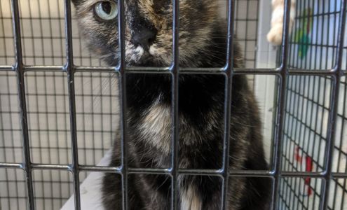 Cedar Valley Humane Society