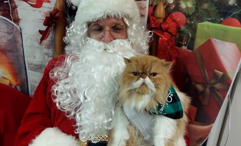 HoundsTooth & CatsMeow Pet Salon