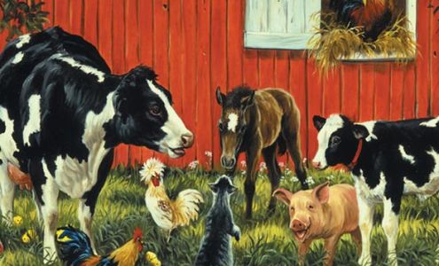 Phillips Agri Campbellsville