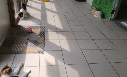 Union County Humane Society