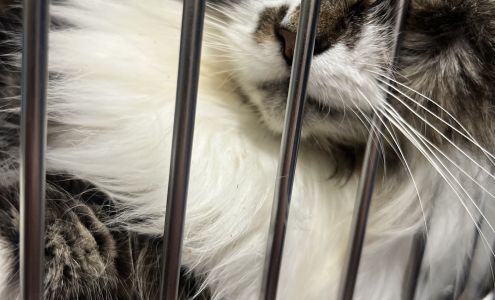 Humane Society of Wicomico County