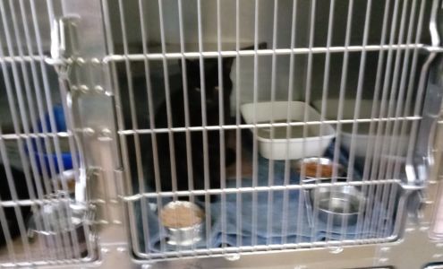 Berkeley County Humane Society