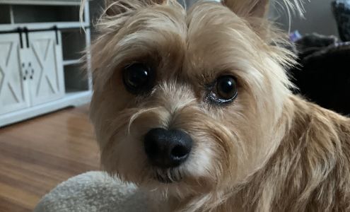 Emma Marie's Groom & Daycare