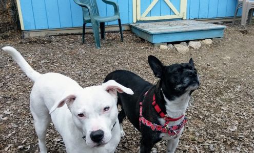 Friends of Falmouth Dogs