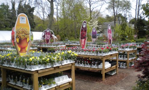 Scenic Roots Lawn and Garden Center