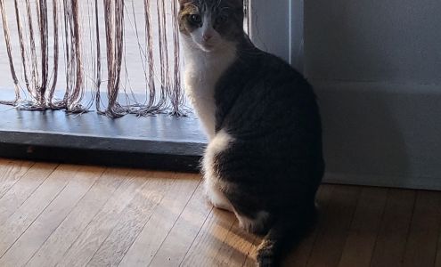 Humane Society of Monroe County