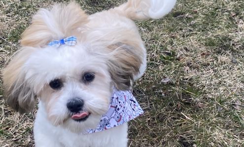 Fluff N' Suds Pet Salon