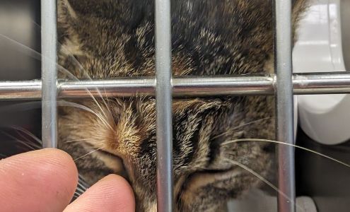 Berrien County Animal Control