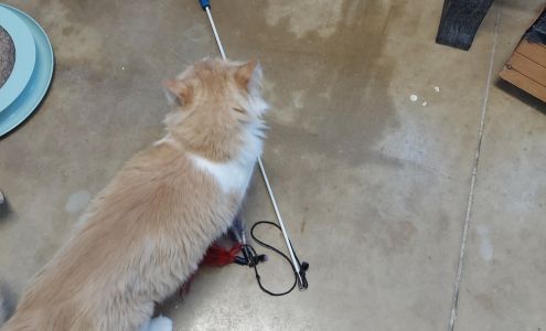 Wadena County Humane Society