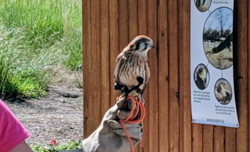 Montana Raptor Conservation Center