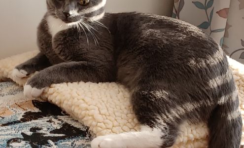 Lewis & Clark Humane Society