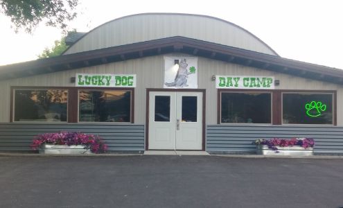 Lucky Dog Day Camp