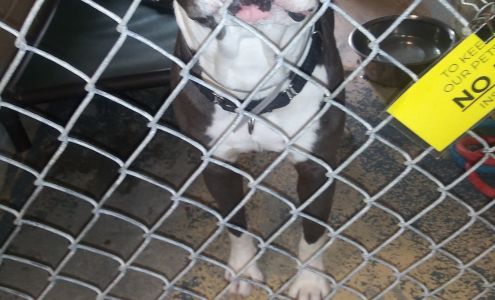 Southern Pines Animal Shelter