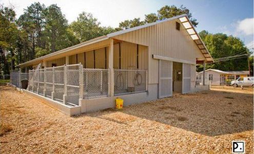 Amory Humane Society