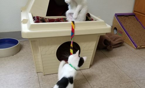 Springfield Humane Society
