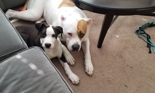 Ocean County Animal Facility