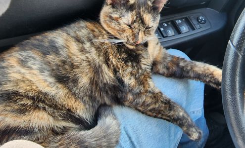 Paradise Garden Animal Haven