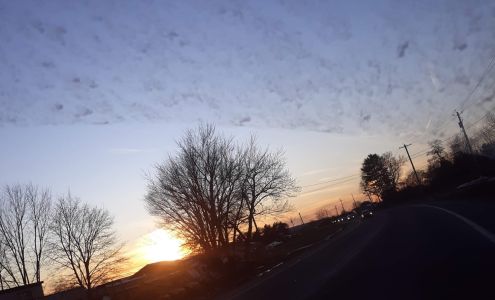 Wanderers Rest Humane Association Inc