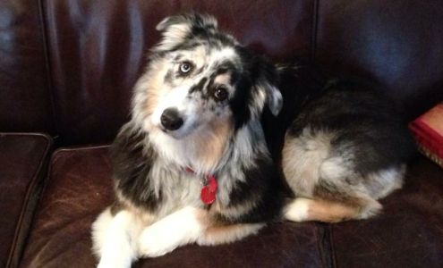 PawPrints Grooming & Boutique Putnam Valley