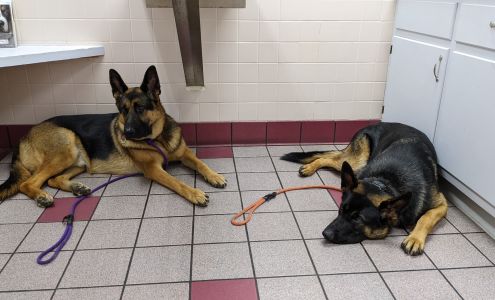 Leesville Animal Hospital PA